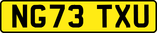 NG73TXU