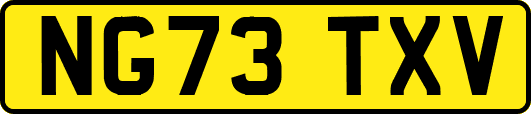 NG73TXV