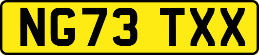 NG73TXX