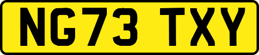 NG73TXY