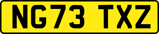 NG73TXZ