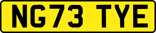 NG73TYE