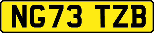 NG73TZB