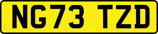 NG73TZD