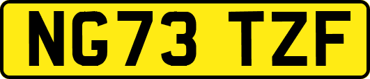 NG73TZF