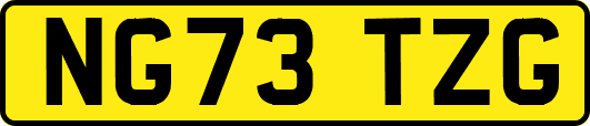 NG73TZG