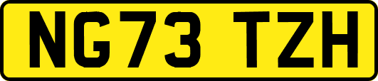 NG73TZH