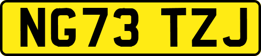 NG73TZJ