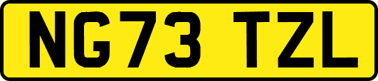 NG73TZL