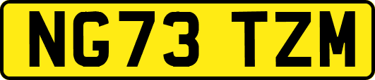 NG73TZM