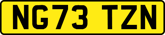 NG73TZN