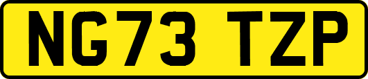 NG73TZP