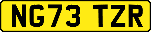 NG73TZR