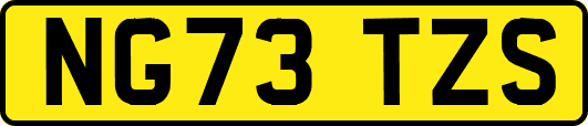 NG73TZS