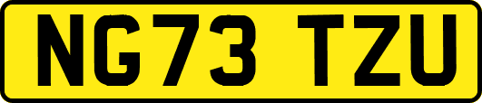 NG73TZU