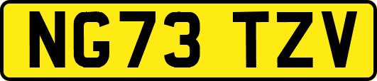 NG73TZV
