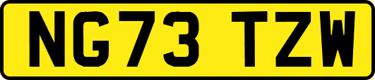 NG73TZW