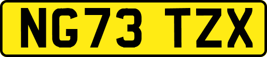 NG73TZX