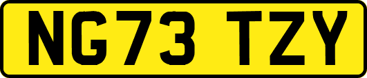 NG73TZY