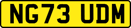 NG73UDM