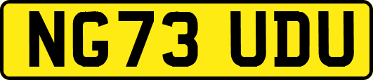 NG73UDU