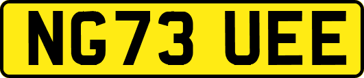 NG73UEE