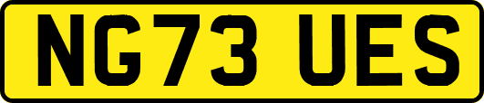 NG73UES