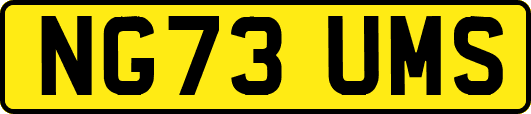 NG73UMS