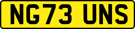 NG73UNS