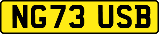 NG73USB