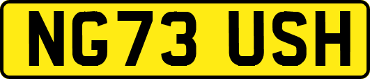 NG73USH