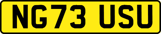 NG73USU