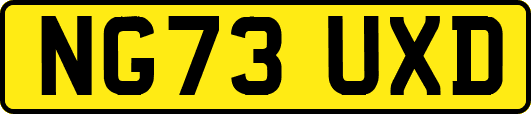 NG73UXD