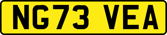 NG73VEA