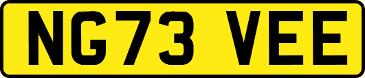 NG73VEE