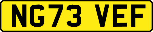 NG73VEF