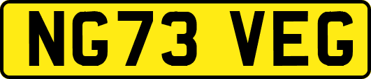 NG73VEG