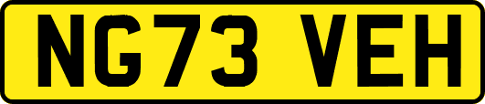 NG73VEH