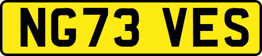 NG73VES