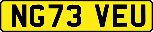 NG73VEU