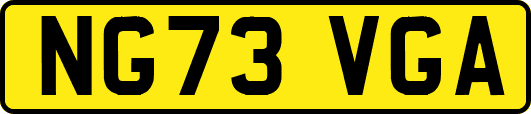 NG73VGA