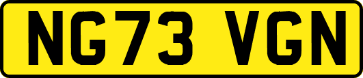 NG73VGN