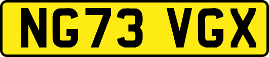 NG73VGX