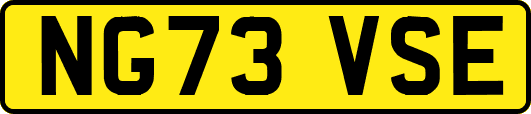 NG73VSE