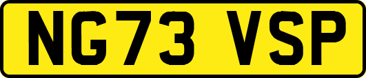 NG73VSP