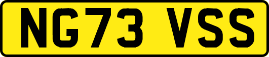NG73VSS