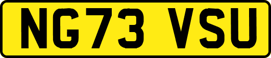 NG73VSU