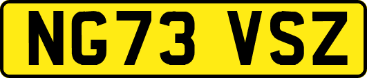 NG73VSZ