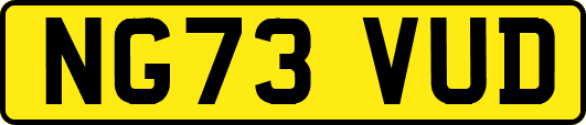 NG73VUD