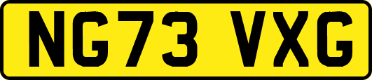 NG73VXG